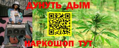 дмт Можга