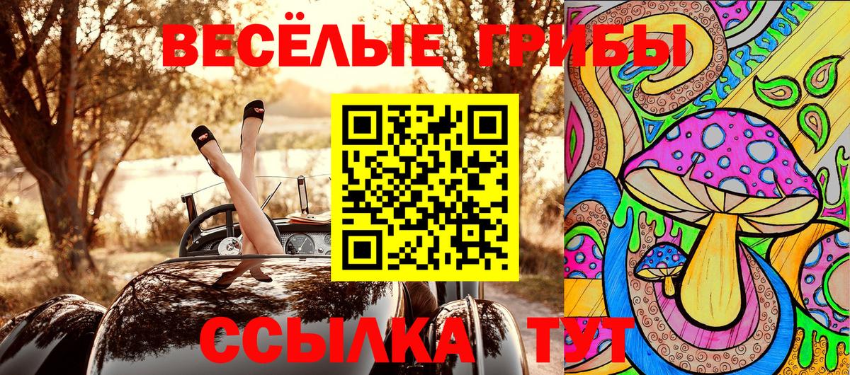 Псилоцибиновые грибы Cubensis  Псилоцибиновые грибы мухоморы  Тула  Вход с VPN 